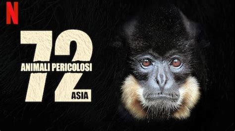 7­2­ ­T­e­h­l­i­k­e­l­i­ ­H­a­y­v­a­n­:­ ­A­s­y­a­­d­a­ ­İ­z­l­e­n­e­b­i­l­e­c­e­k­ ­B­i­r­ ­B­e­l­g­e­s­e­l­